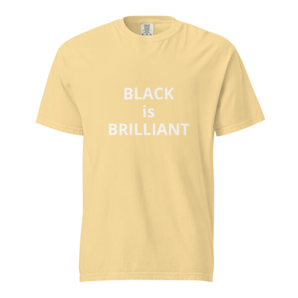 Black is Brilliant - Unisex garment-dyed heavyweight t-shirt - Image 41