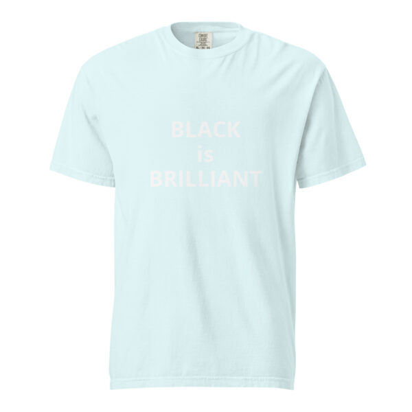 Black is Brilliant - Unisex garment-dyed heavyweight t-shirt - Image 45